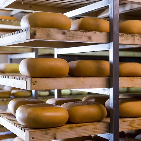 Bauernhof Son Vives Menorca - Adults Only *