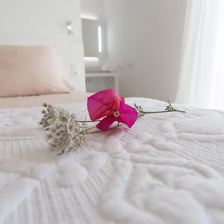 桑比韦斯梅诺卡旅馆 - 仅限成人入住 费瑞里耶斯