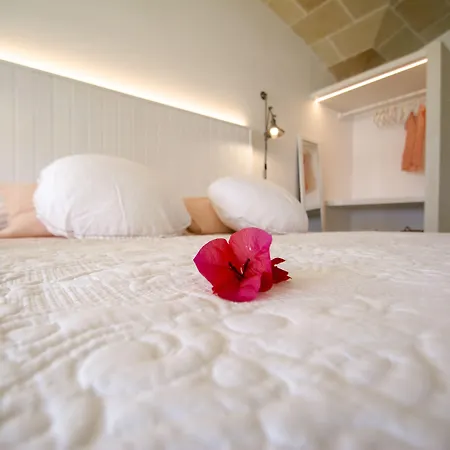 桑比韦斯梅诺卡旅馆 - 仅限成人入住 农家乐